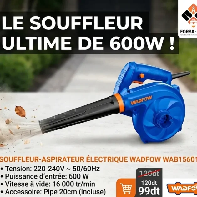 Souffleur 600W wodfow