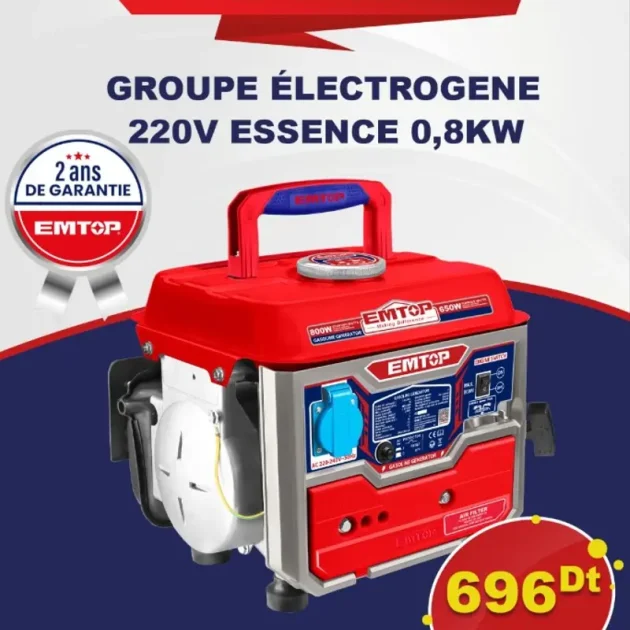 Groupe électrogene 220v EGGRR0821